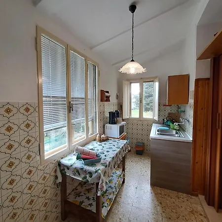 L'olivo * Lubriano